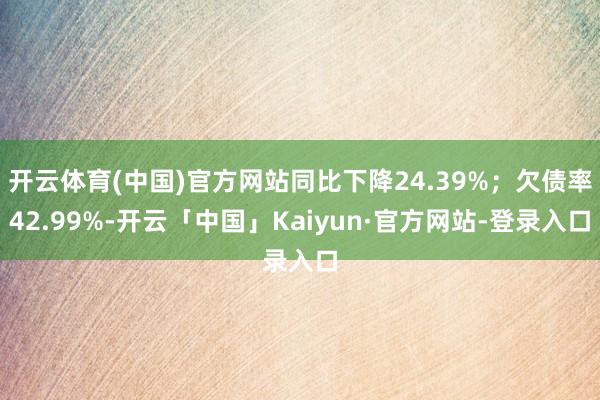 开云体育(中国)官方网站同比下降24.39%；欠债率42.99%-开云「中国」Kaiyun·官方网站-登录入口