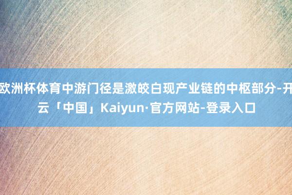 欧洲杯体育中游门径是激皎白现产业链的中枢部分-开云「中国」Kaiyun·官方网站-登录入口